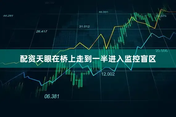 配资天眼在桥上走到一半进入监控盲区